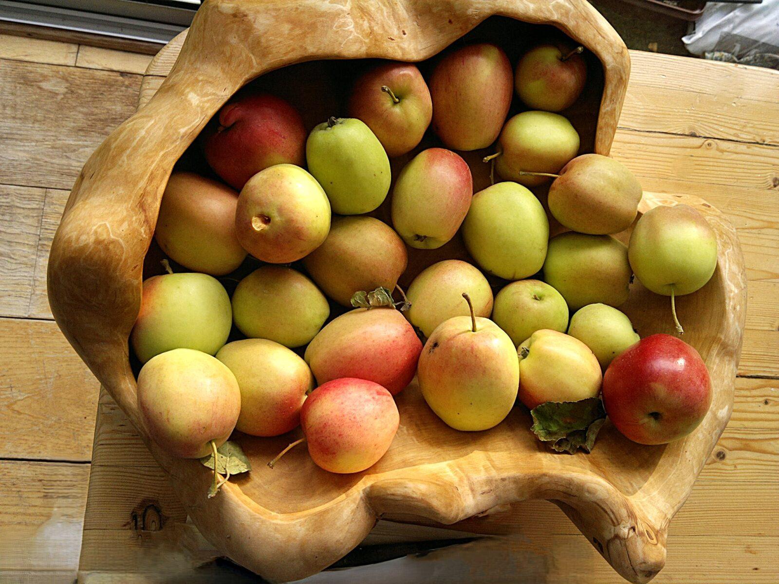 Foto: Eva Svanström